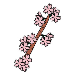 枝付きの桜の花1