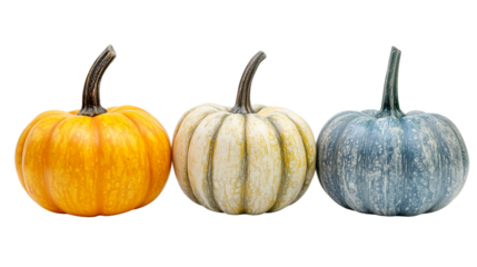 Three pumpkins come to life on Halloween spooky theme and autumn decoration isolated on transparent  background 