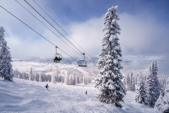Chairlift with snow covered pine tree at Steamboat Colorado