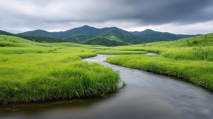 Serene River in Green Meadow