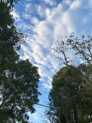 Obraz premium Blue sky 