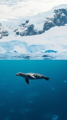 Naklejka premium Seal swimming underwater near snowy mountains.
