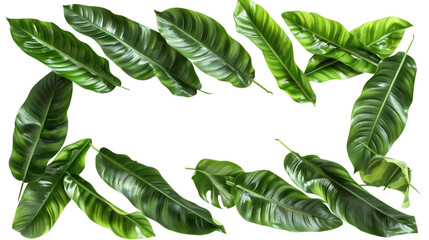 Green leaves frame, isolated on a white background