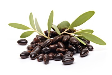 Obraz premium Jojoba plant leaf white background.