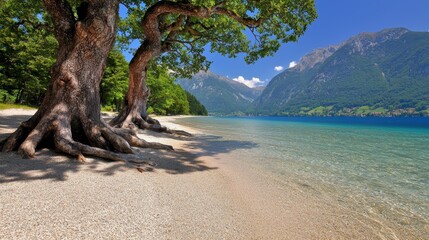 Majestic Trees along Cascading Shoreline by Clear Lake with Mountain View