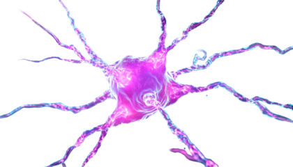 conceptual digital mind map with neural pathways png