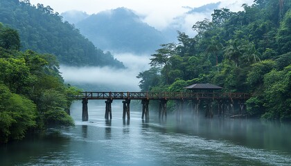 Long wooden bridge stretching across a river in the rainforest