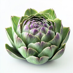 Obraz premium artichokes 