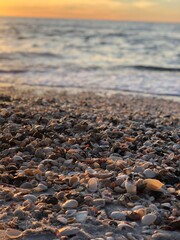 Scenic shells on a sunset beach