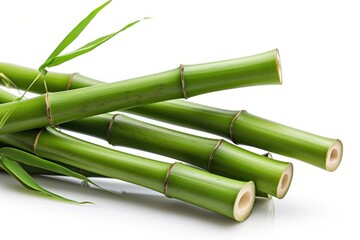 Fototapeta premium Bamboo plant white background asparagus.
