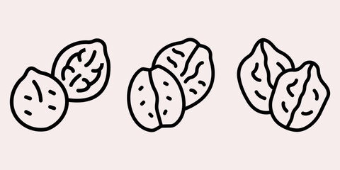 walnut outline or line icon design bundle.