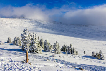 Winter Park, Colorado