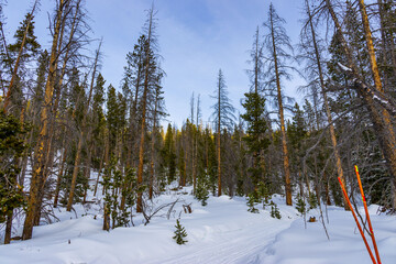 Winter Park, Colorado
