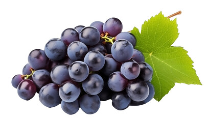 Fototapeta premium blue grape fruits with leaves isolated on white