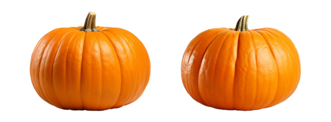 Pumpkin. Beautiful ripe orange pumpkin isolated on white