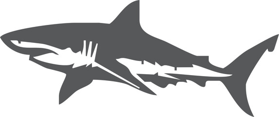 Shark silhouette flat illustration on isolated background