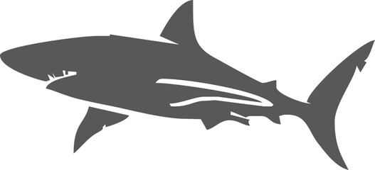 Shark silhouette flat illustration on isolated background