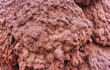 close up view of a termite nest located on Onslow Road in Western Australia.