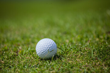 Golf ball on green grass field