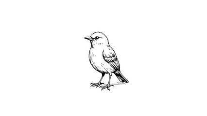 Obraz premium Motivational bird sketch on white background, inspiration icon