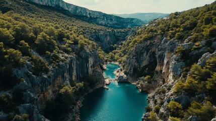 Obraz premium Scenic Aerial View of Turquoise River Flowing Through Green Valley