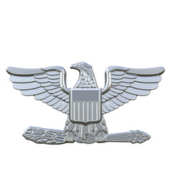 Officer Insignia Colonel isolated on white