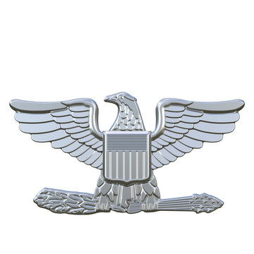 Officer Insignia Colonel isolated on white