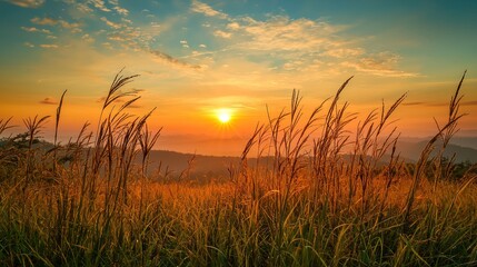 A peaceful morning landscape with the sun rising over a horizon, symbolizing new beginnings and motivation