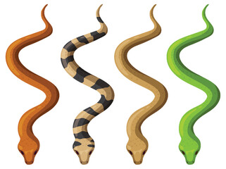 Colorful Snakes in Vector Illustration