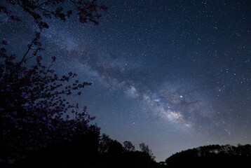春が近づく森の先に輝く天の川と能登の星空