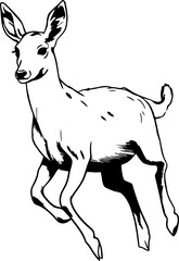 Handdrawn deer drawing 