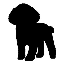 トイプードルのシルエット