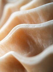 Close-up of a seashell's intricate texture, revealing nature's artistry.
