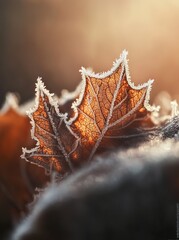 A frost-covered leaf shimmers in the morning light, creating a delicate winter scene.
