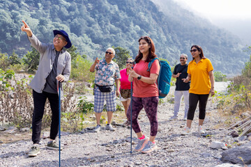 Senior friends admiring beauty of nature while hiking together in forest on sunny day during...