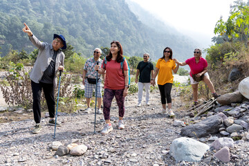 Senior friends admiring beauty of nature while hiking together in forest on sunny day during...