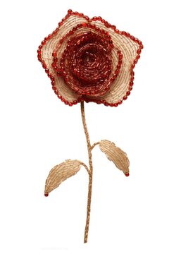Rose pattern nature art.