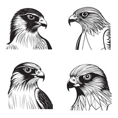 Peregrine Falcon bird face silhouette vector illustration collection
