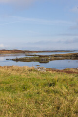 Scotland, Hebrides. Isle of North Uist. Scenic. Moorland.