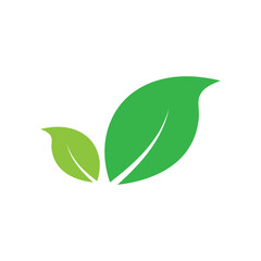 Leaf graphic design logo template