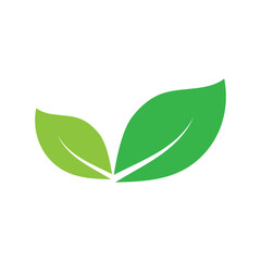 Leaf graphic design logo template