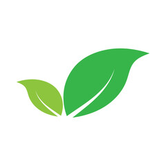 Leaf graphic design logo template