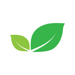 Leaf graphic design logo template
