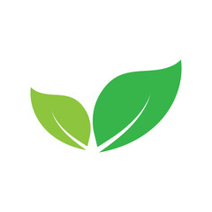Leaf graphic design logo template