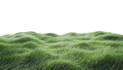 grass field green png