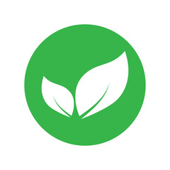 Leaf graphic design logo template