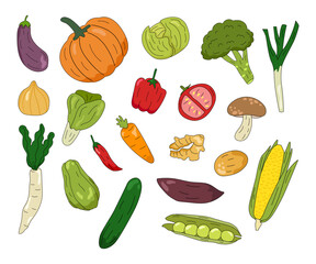 collection of Vegetables Cartoon Illustration
