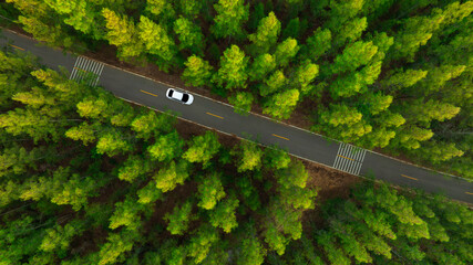 Aerial view of dark green forest road and white electric car Natural landscape and elevated roads...