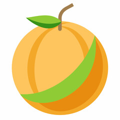 cantaloupe fruit vector illustration