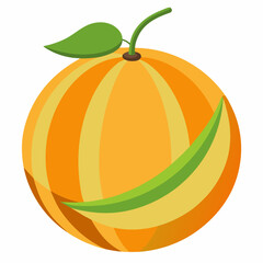 vector illustration of a cantaloupe